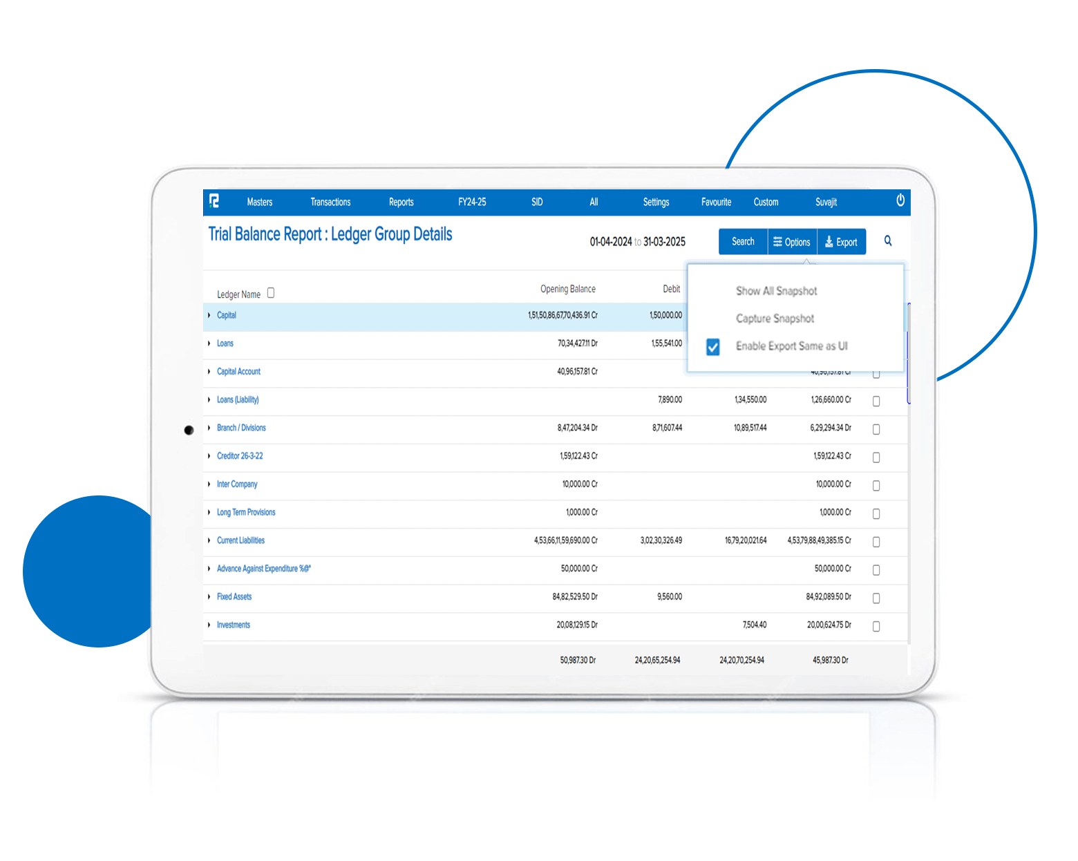 Trial Balance Export what is in UI